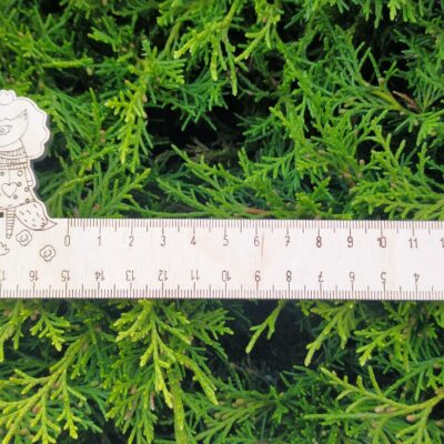 Linijka podwójna drewniana LISICA z grawerem - 15 cm/20 cm - obrazek 2